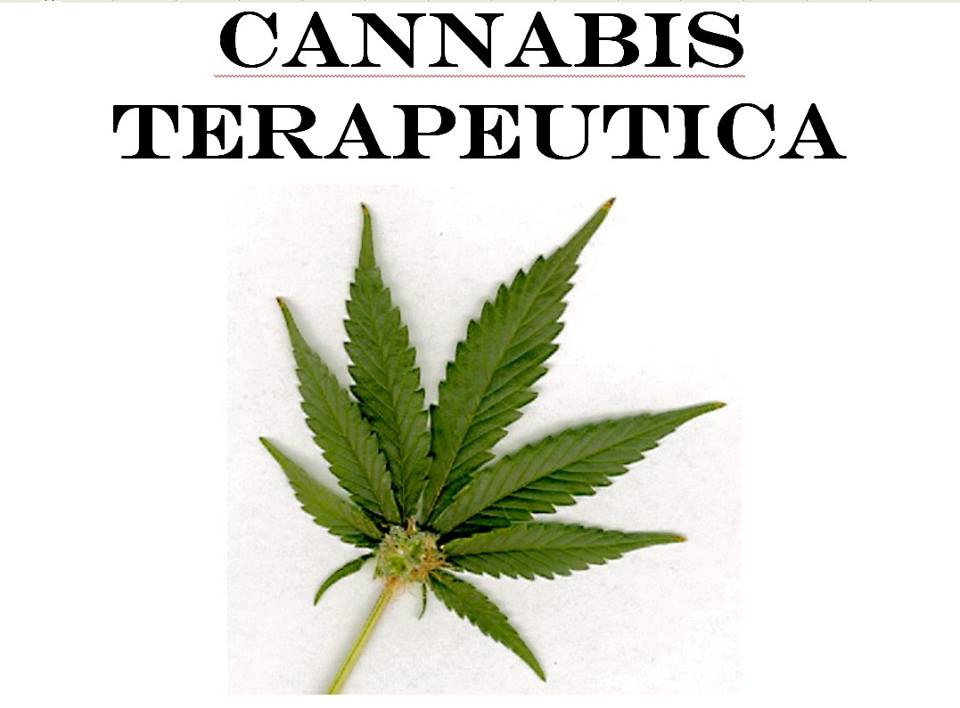 cannabis terapeutica