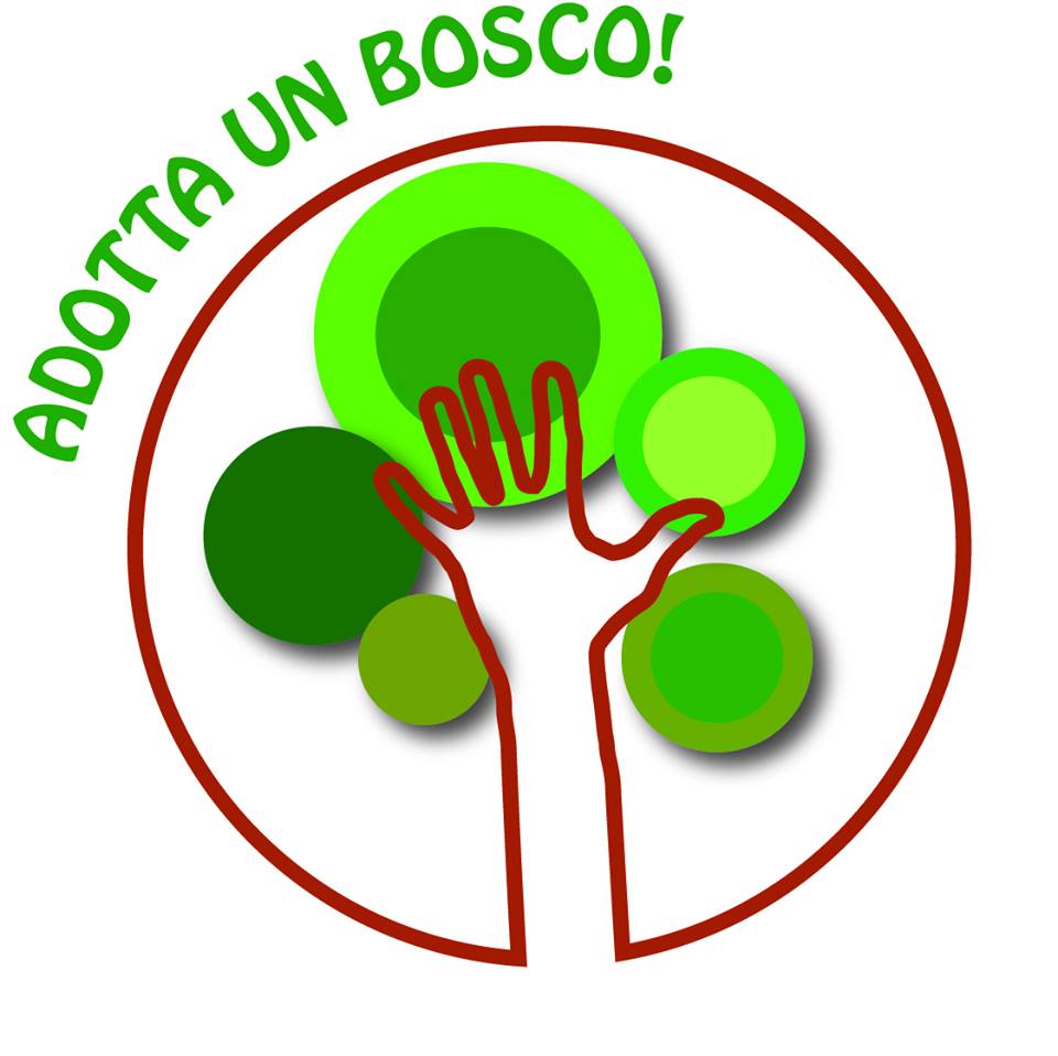 adotta un bosco7